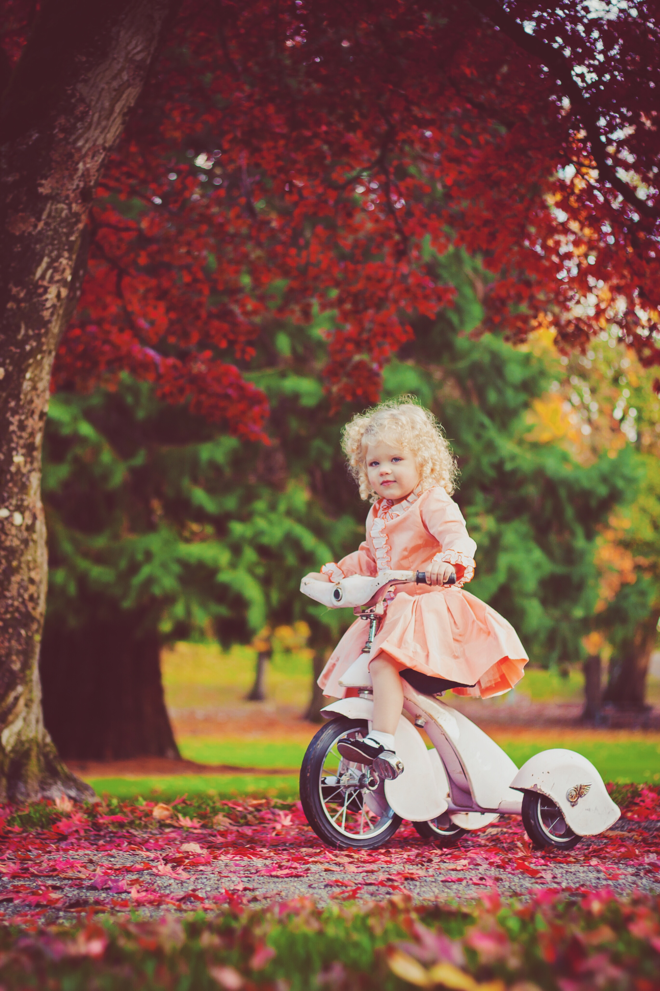 Fall Tricycle Photoshoot