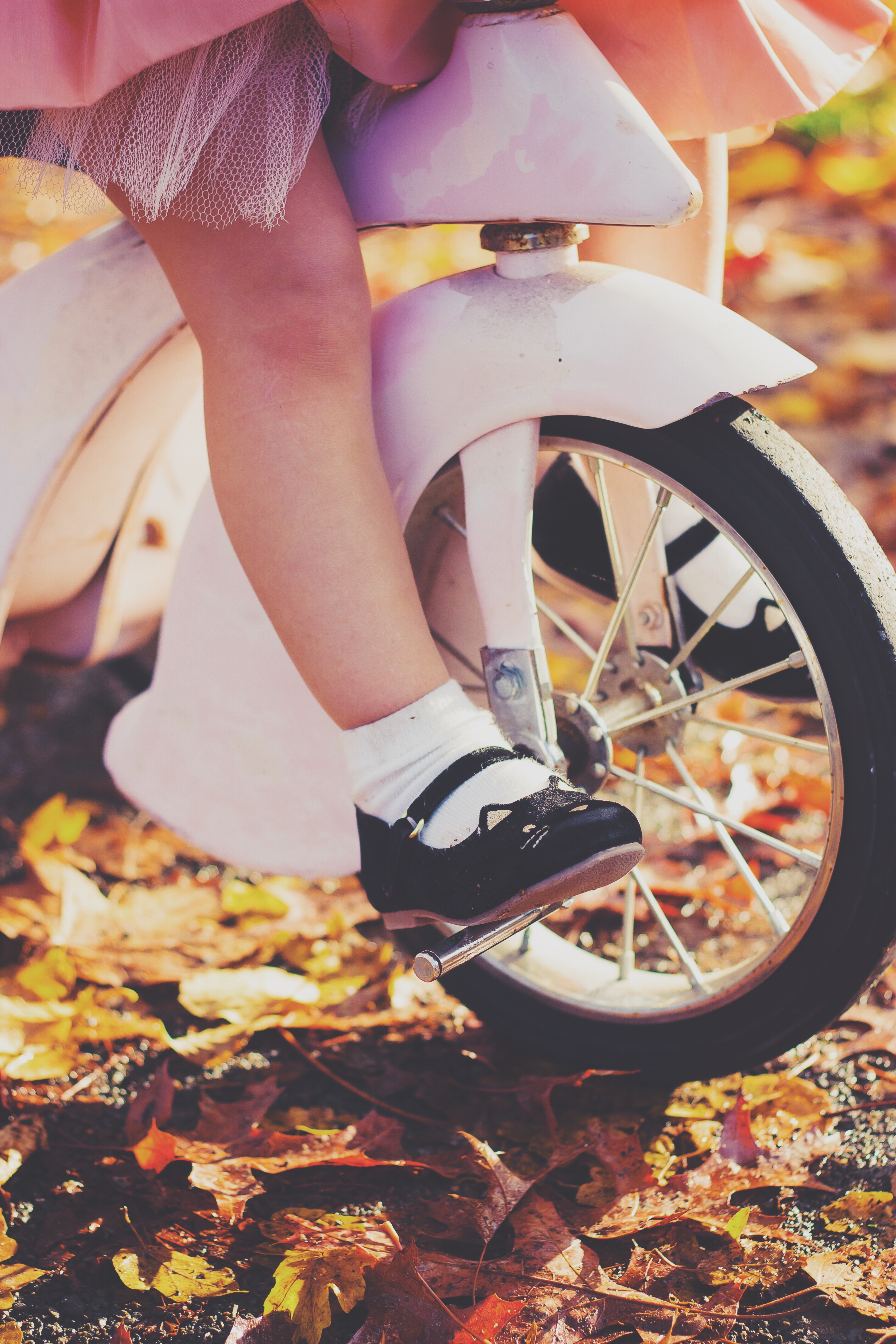 Fall Tricycle Photoshoot