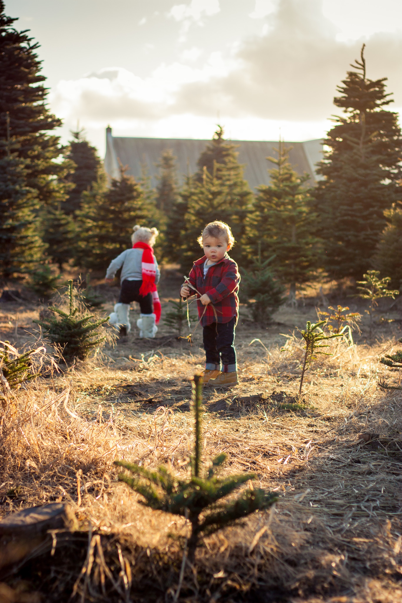 Flashback: Christmas Tree Farm Photo Shoot 2014 - Jay Primrose