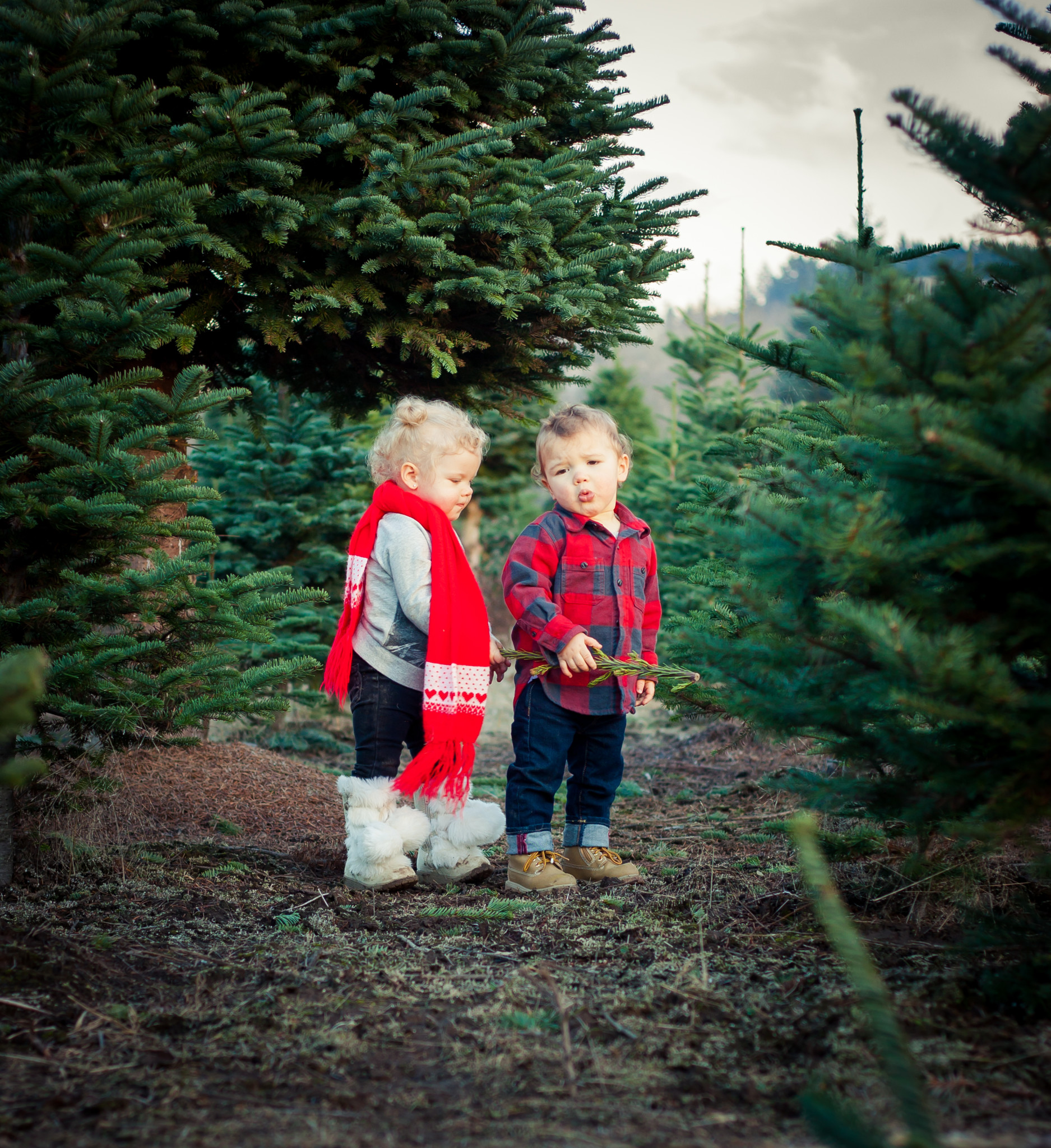 Flashback: Christmas Tree Farm Photo Shoot 2014 - Jay Primrose